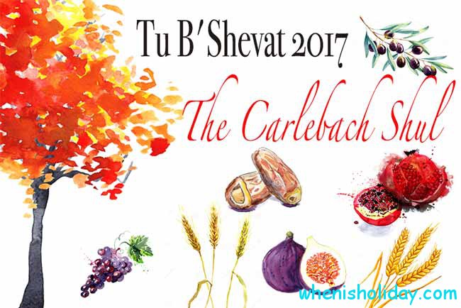 Tu Bishvat 2017