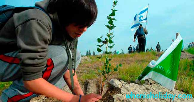 Planting trees