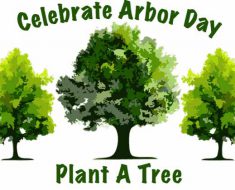 Arbor Day 2017