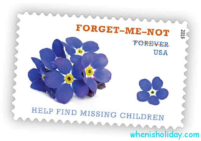 Forget-me-not