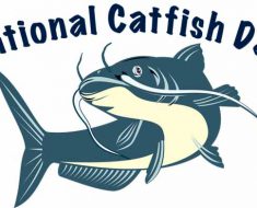 National Catfish Day 2017