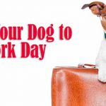 National-Take-Your-Dog-To-Work-Day-1