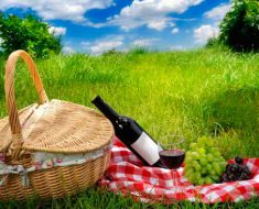 National Picnic Day 2017