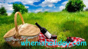 National Picnic Day 2017