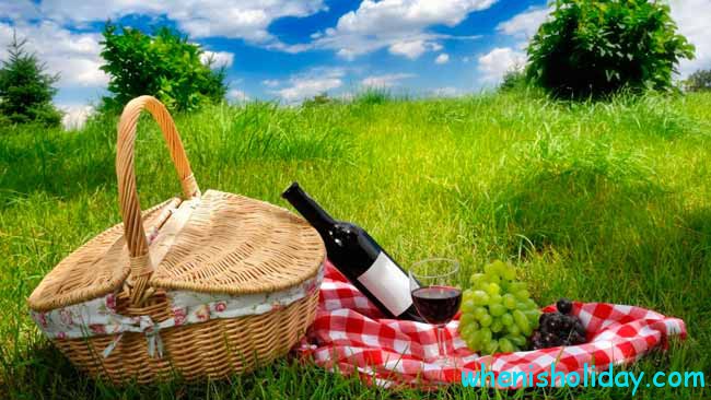 🏞 When is National Picnic Day 2024