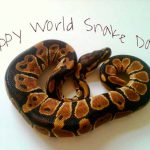 World-Snake-Day-1