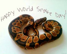 World Snake Day 2017