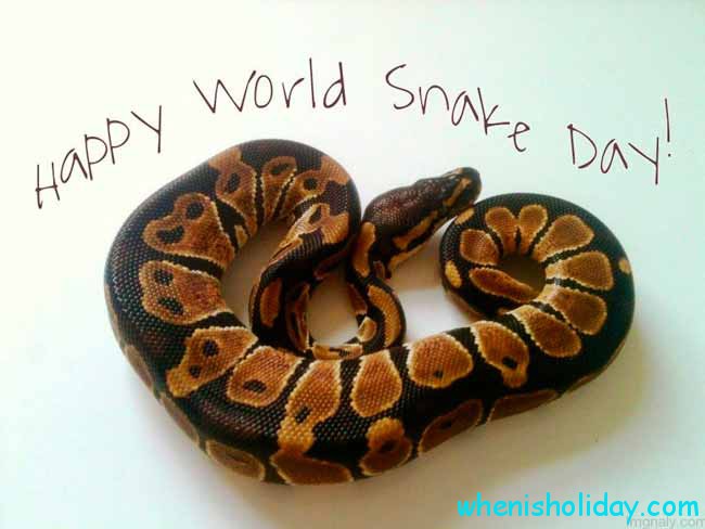 Welttag der Schlange