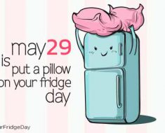 Put A Pillow On Your Fridge Day 2017