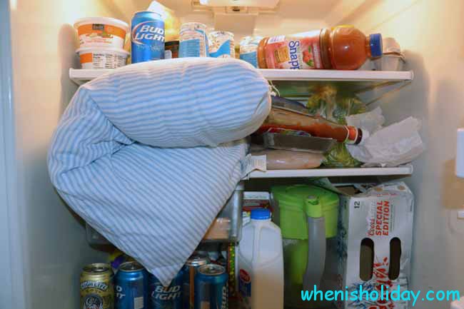 Legen Sie ein Kissen auf Ihren Kühlschranktag 