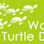 world-turtle-day-1
