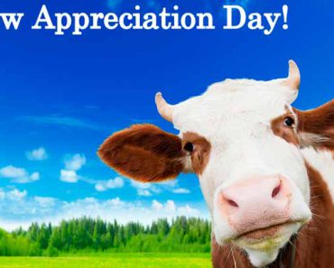 National Cow Appreciation Day 2017