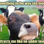 Cow-Day-2