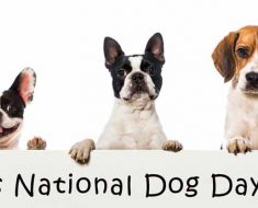 National Dog Day 2017