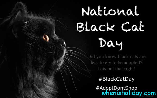 National Black Cat Day