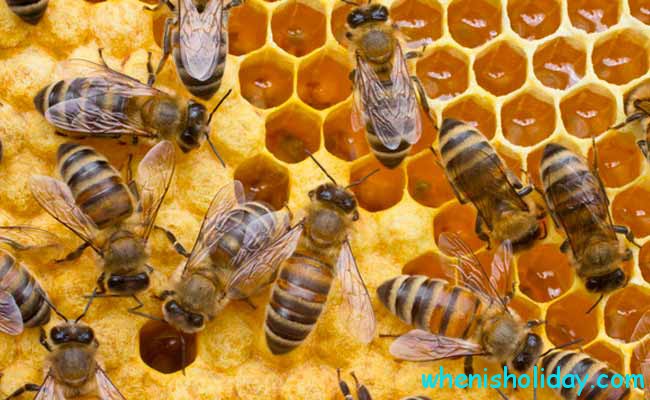 National Honey Bee Day