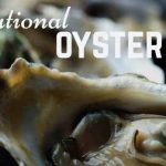 National-Oyster-Day-2