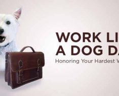 National Work Like a Dog Day 2017