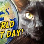 World-Cat-Day-1
