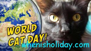 World Cat Day 2017