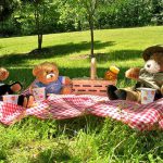 teddy-bear-picnic-day-2