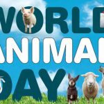 Animal-Day-1