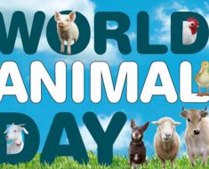 World Animal Day 2017