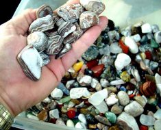 National Collect Rocks Day 2017