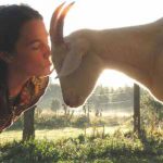 Farm-Animals-Day-2