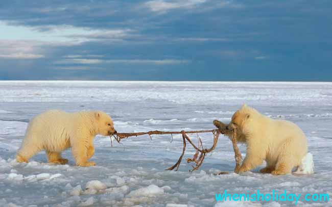 National Tug-of-War Day