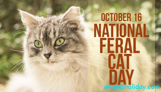 Nationaler Tag der wilden Katze