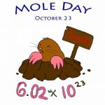 Mole-Day-1