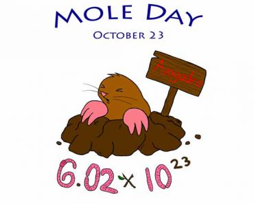 National Mole Day 2017
