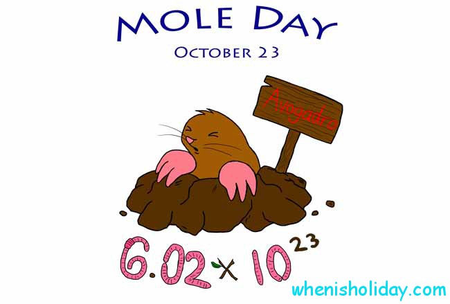 National Mole Day 2017