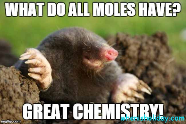 National Mole Day