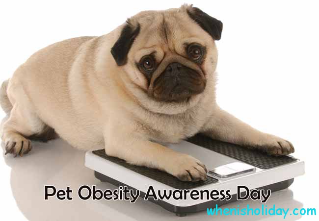 Pet Obesity Awareness Day