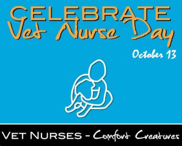 Vet Nurse Day