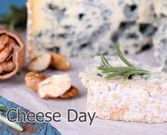 Moldy Cheese Day 2017