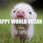 world-vegan-day-2