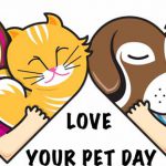 Love-Your-Pet-Day-1