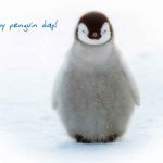 Penguin-Day-2