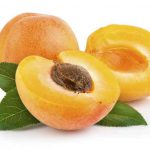 Apricot-Day-1