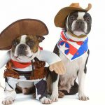 Dress-Up-Your-Pet-Day-1