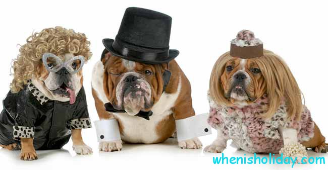 Dressed up dogs