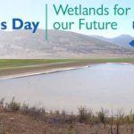 Wetlands-Day-1