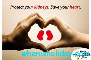 protect your Kidneys