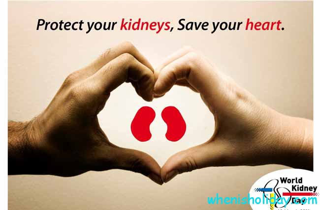 protect your Kidneys