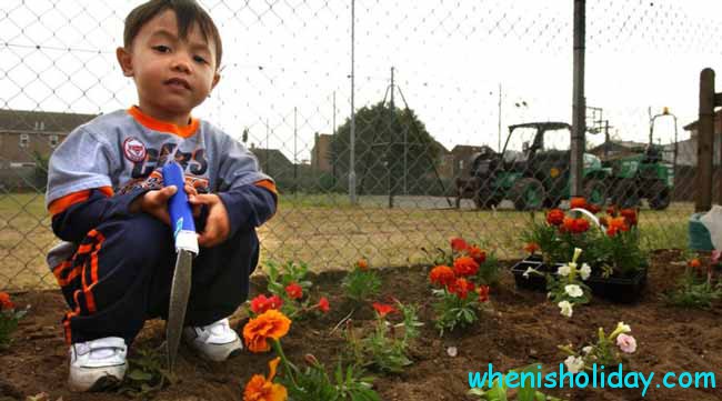 Boy Planting Flower