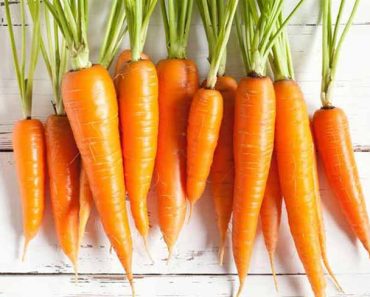 Carrot