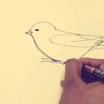 Draw-a-Picture-of-a-Bird-1